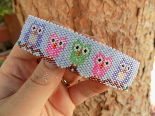 Shop Wyoming Cute Whimsical Owl Peyote Large Beaded Barrette in Purple Green and Pink on Blue