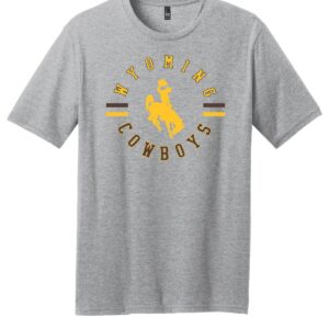 Shop Wyoming Ladies University Of Wyoming Shirt