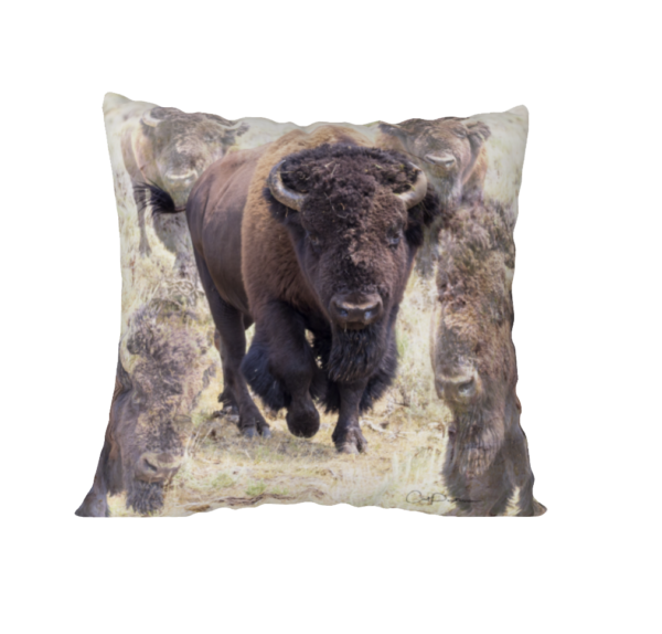 Shop Wyoming SPIRIT OF TATANKA ACCENT PILLOW COVER