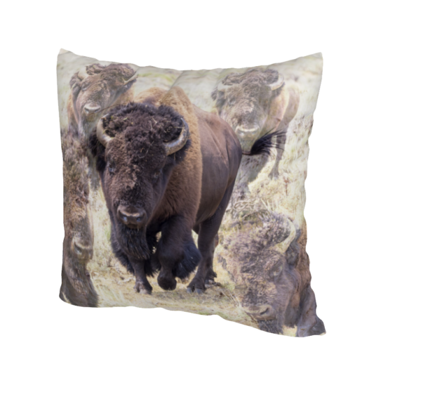 Shop Wyoming SPIRIT OF TATANKA ACCENT PILLOW COVER