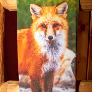 Shop Wyoming FOXY LADY FLOUR SACK TOWEL