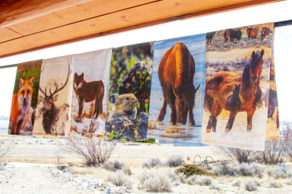 Shop Wyoming WILD HORSE MONTAGE FLOUR SACK TOWEL