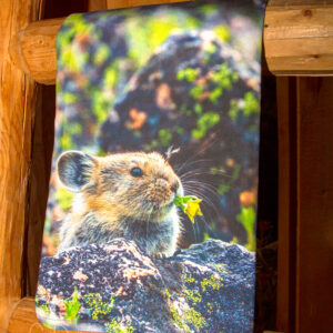 Shop Wyoming PIKA FLOWERS FLOUR SACK TOWEL