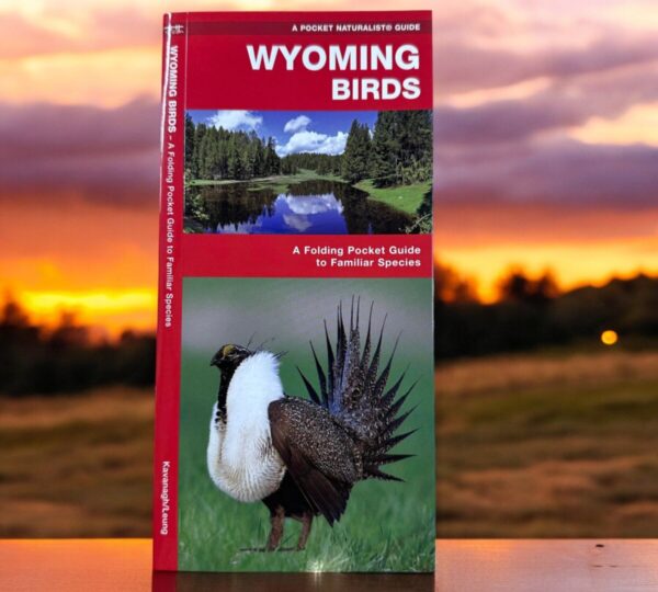 Shop Wyoming Wyoming Birds Pocket Book Guide