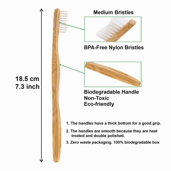 Shop Wyoming Bamboo Toothbrush Set 4-Pack – Bamboo Toothbrushes with Medium Bristles for Adults – Eco-Friendly, Biodegradable, Natural Wooden Toothbrushes