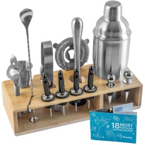 Shop Wyoming Stainless Steel Cocktail Shaker Set with Stand – 17-Piece Mixology Bartender Kit, Bar Set – 25oz Martini Shaker, Jigger, Strainer, Muddler, Mixing Spoon