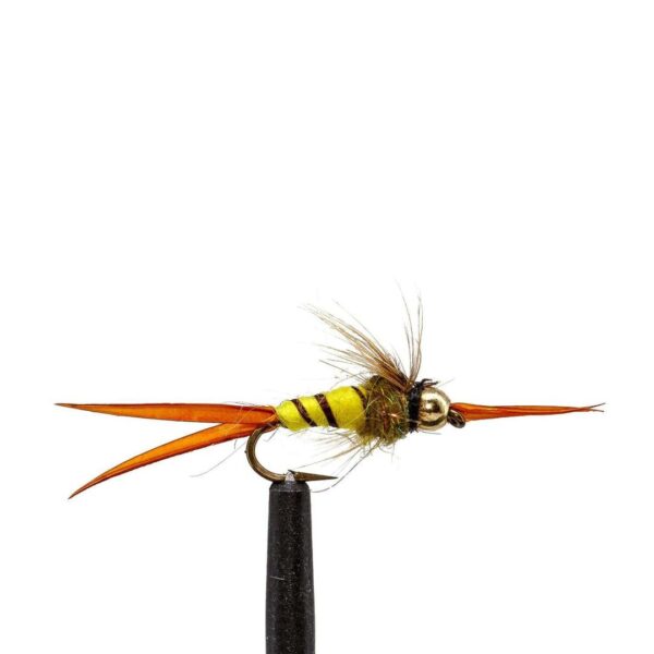 Shop Wyoming JHFLYCO Loaded Foam Fly Box – Standard Nymph