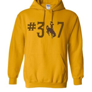 Shop Wyoming 307 Wyoming Hoodie