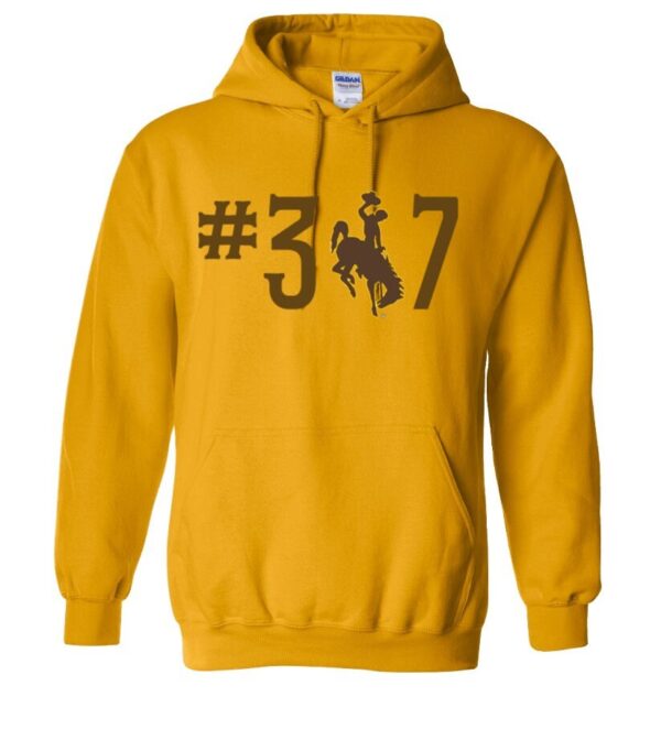 Shop Wyoming 307 Wyoming Hoodie