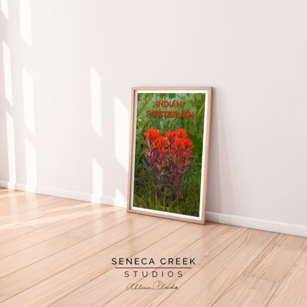 Shop Wyoming Indian Paintbrush Wildflowers 12×18 High Quality Vintage Poster Art Print – Original Artwork by Seneca Creek Studios