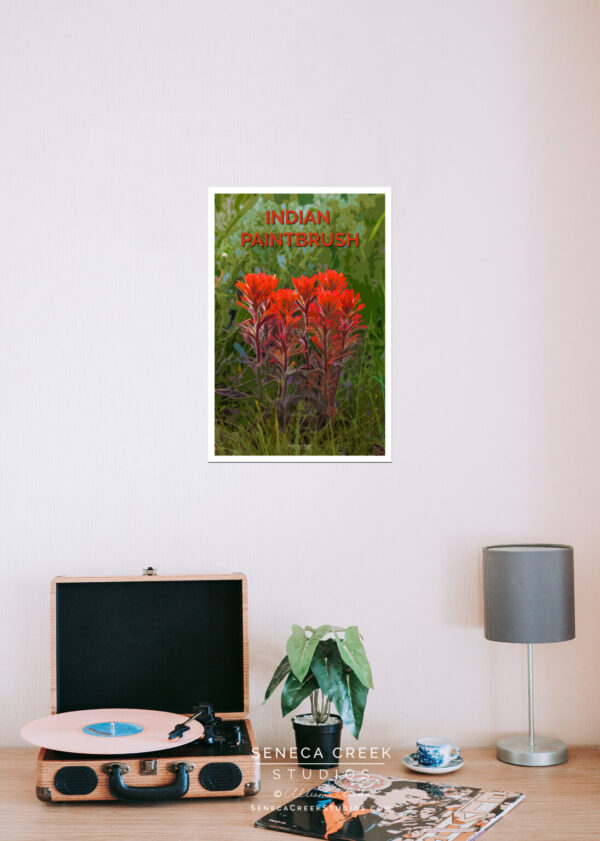 Shop Wyoming Indian Paintbrush Wildflowers 12×18 High Quality Vintage Poster Art Print – Original Artwork by Seneca Creek Studios