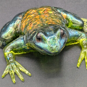 Shop Wyoming UV Resin Frog