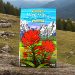 Shop Wyoming Wyoming Indian Paintbrush Seeds