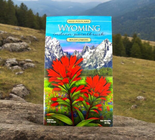 Shop Wyoming Wyoming Indian Paintbrush Seeds