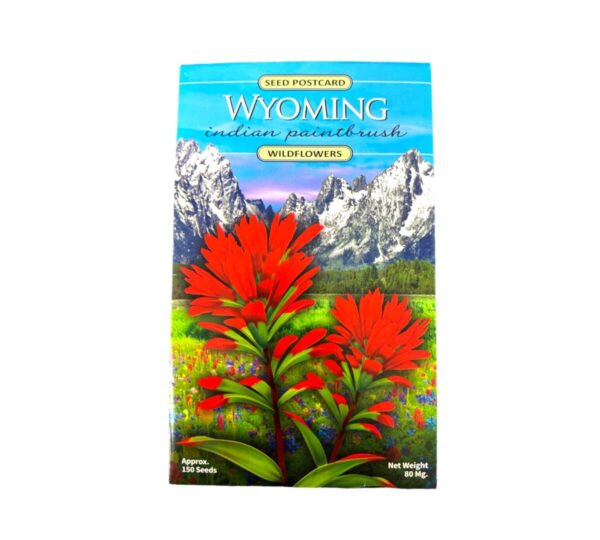 Shop Wyoming Wyoming Indian Paintbrush Seeds