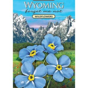 Shop Wyoming Wyoming Forget-Me-Not Wildflower Seed Packet