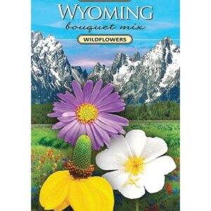 Shop Wyoming Wyoming Bouquet Wildflower Seed Packet