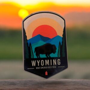 Shop Wyoming Wyoming Is What America Was Acrylic Magnet